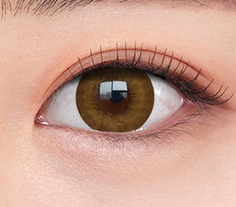 OLENS EVER SHINE Brown 1Day 20P