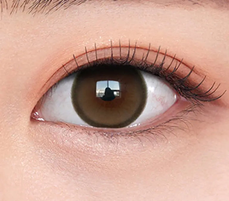 OLENS EOTD MOCHA  Brown 1P 6MONTH (1 piece in 1 bottle)