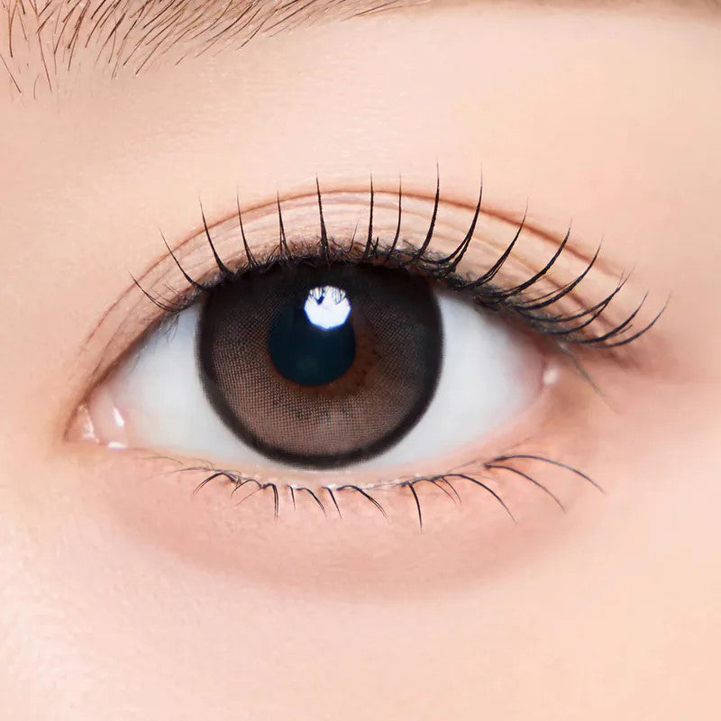 CHUU LENS Bear Boo 1 Month Honey Choco｜Monthly Disposable Colored Contact Lens | 2pcs