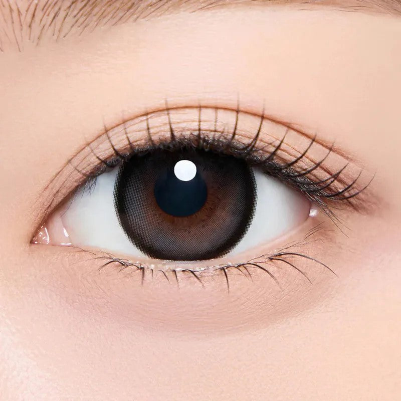 CHUU LENS Bear Boo 1 Month Dutch Black｜Monthly Disposable Colored Contact Lens | 2pcs