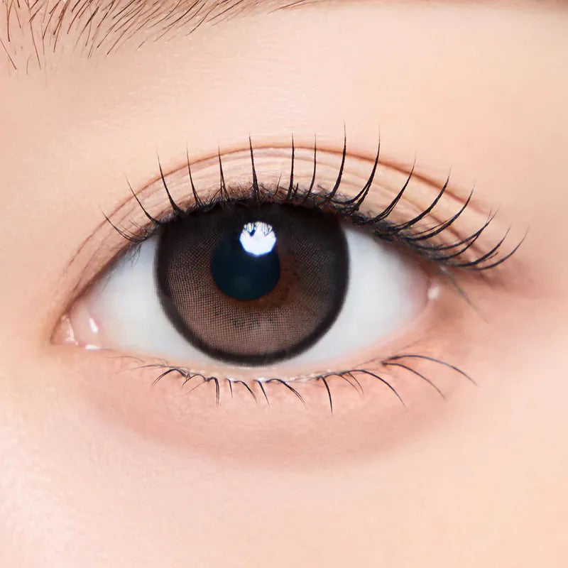 CHUU LENS Bear Boo 1 Day Honey Choco｜Daily Disposable Colored Contact Lens |10pcs