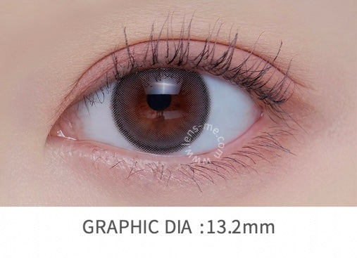 LENSME AKMA  HOLORIS  MILD GRAY 30P  1DAY