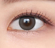 OLENS MISTY ASH Gray 1Day 20P