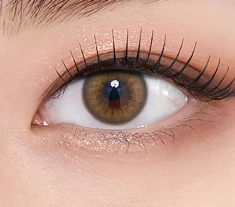 OLENS SCANDI Hazel 1Day 20P