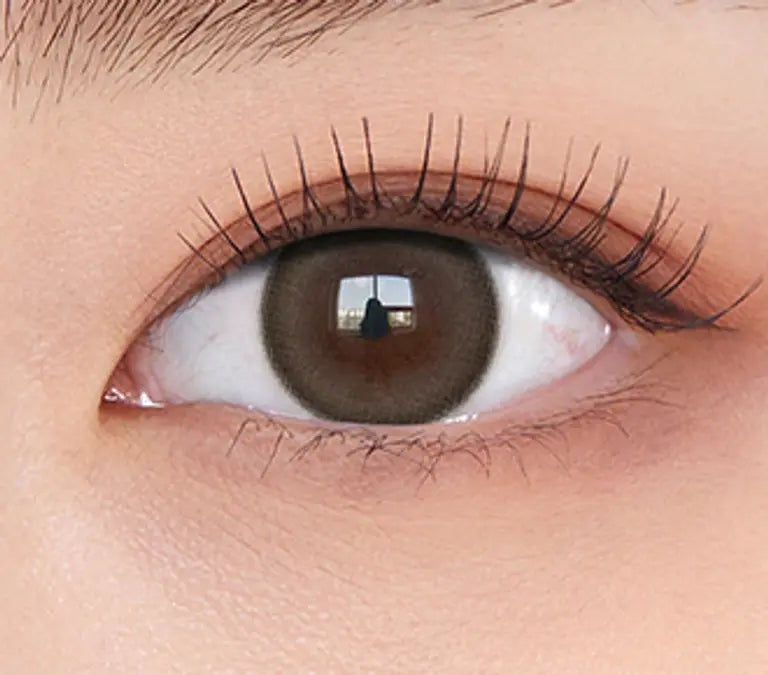 OLENS MOODNIGHT Brown 1Day 20P