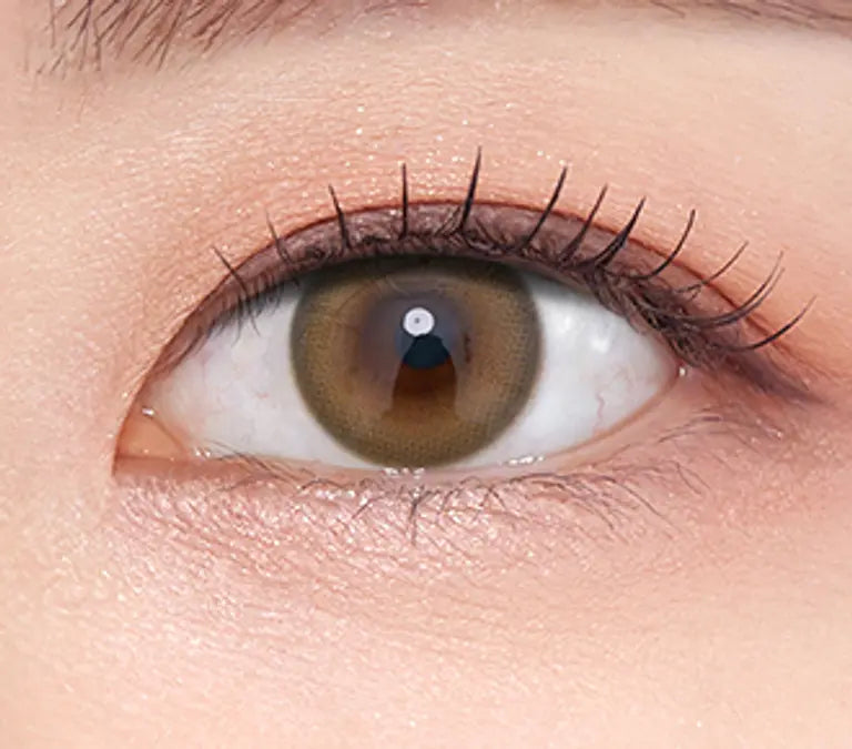 OLENS ENDING  Brown 1Day 20P