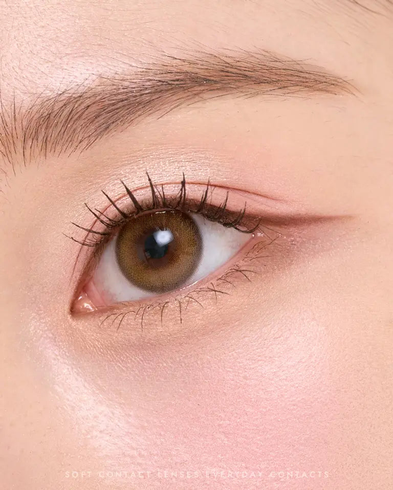 OLENS ENDING  Brown 1Day 20P