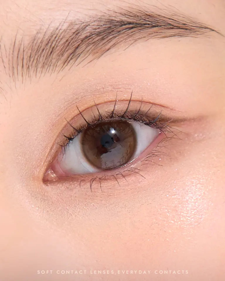 O-LENS SHINE TOUCH MILKY Choco 1Day 20P