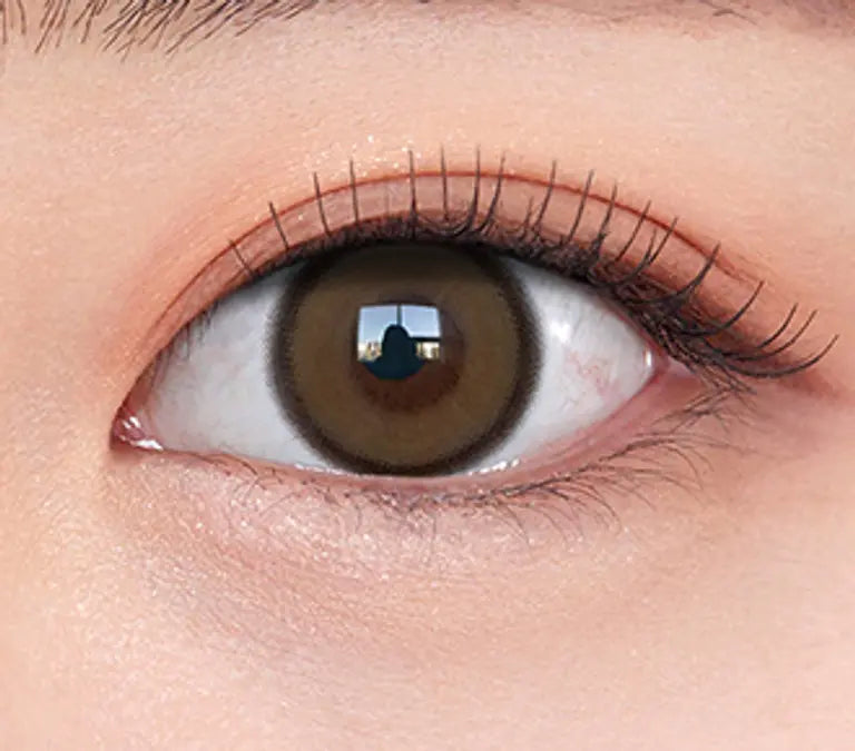 OLENS REALISH Brown 10P 1Day