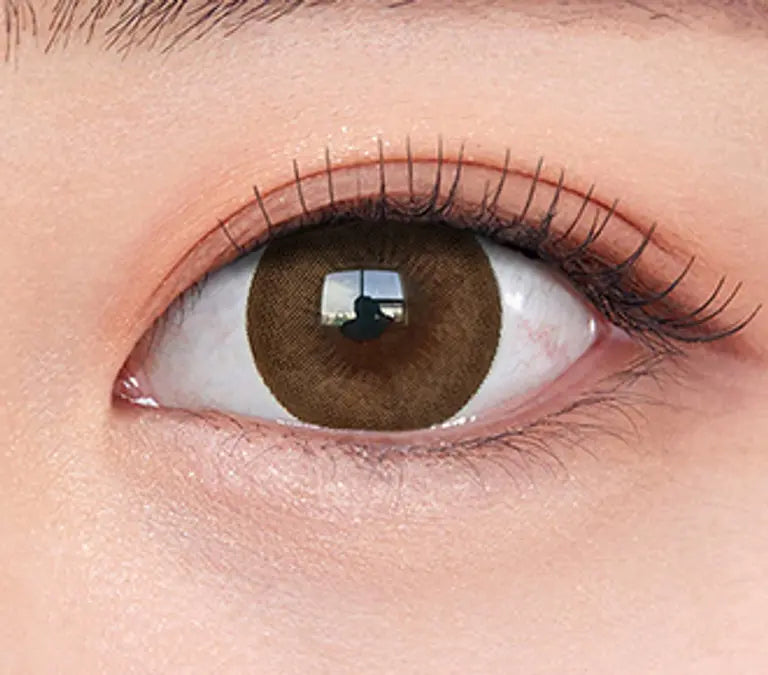 OLENS EVER SHINE Mocha 1Day 20P
