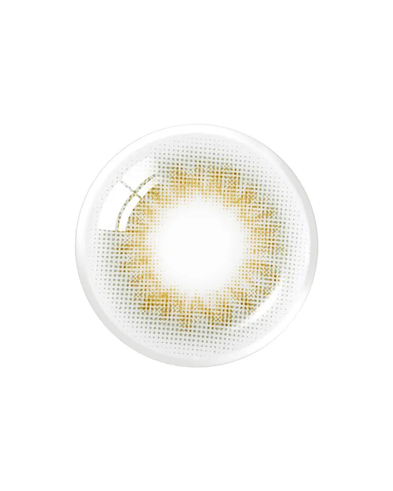 OLENS SCANDI Gray 1Day 20P