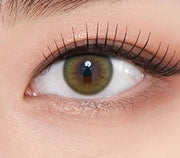 OLENS SCANDI OLIVE 1Month 2P