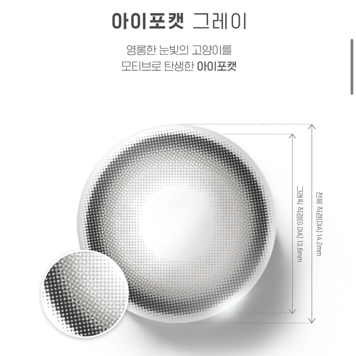 LENSME EYE FOUR CAT  GRAY 2P  1MONTH
