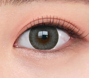 O-LENS EVER SHINE Gray 1Day 20P
