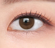 O-LENS SHINE TOUCH MILKY Choco 1Day 20P